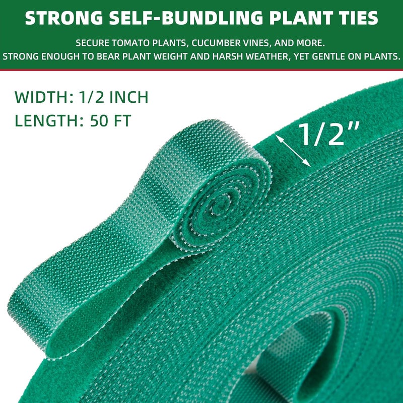 NBTORCH 50 ft x 1/2 inch Reusable Plant Ties Roll for Indoor & Outdoor Plants, Non-Toxic Soft Garden Ties, Cut-to-Length Nylon Ties, Gentle Support for Climbing Plants, Tomato Peppers & Vines, Green - Image 2